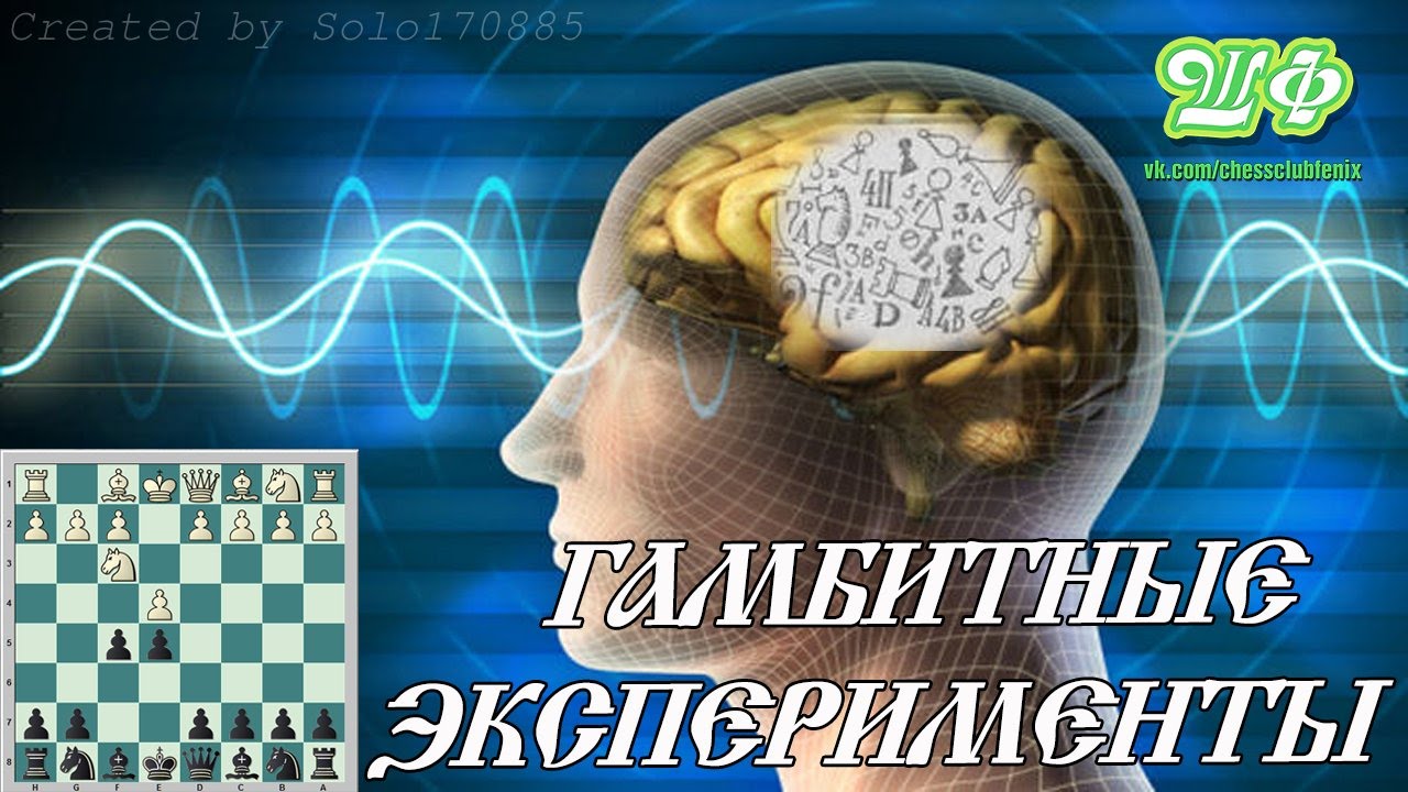 Гамбитные эксперименты. 