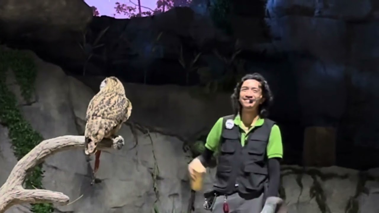 Night Safari show at the Mandai Wildlife Reserve in Singapore