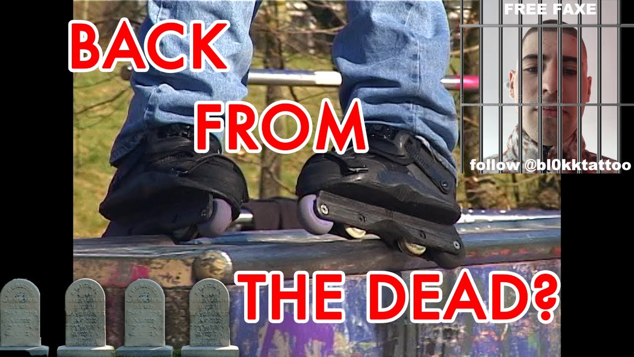 Borklyn Zoo - Back From the Dead?