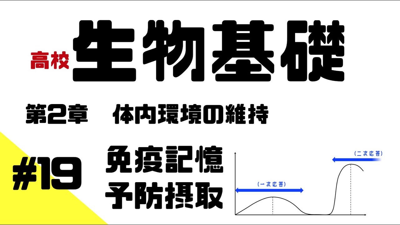 【生物基礎】#19 免疫記憶 / 演習付き