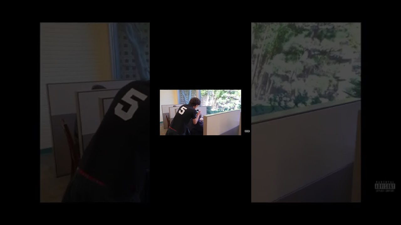 Funny video