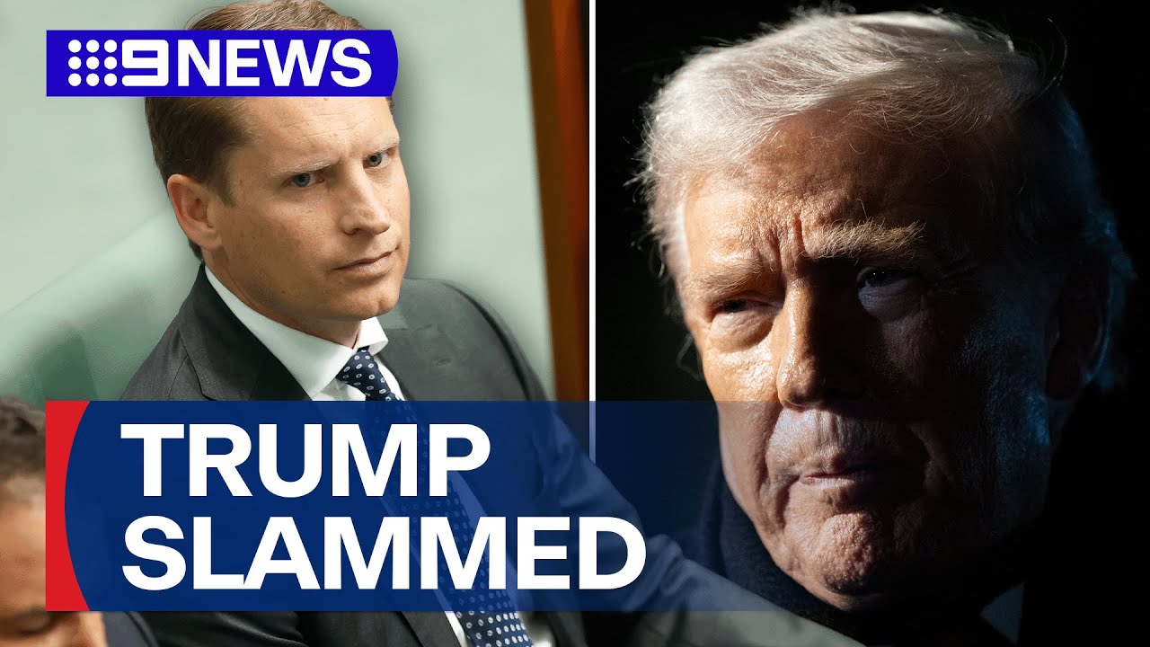 Potential future Liberal leader slams Donald Trump | 9 News Australia