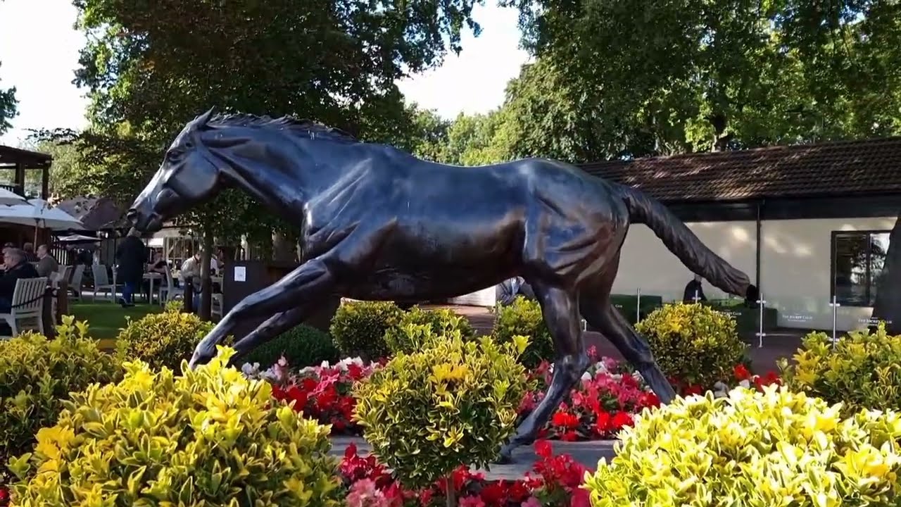 Astec Precision, day out, Haydock Horse Racing