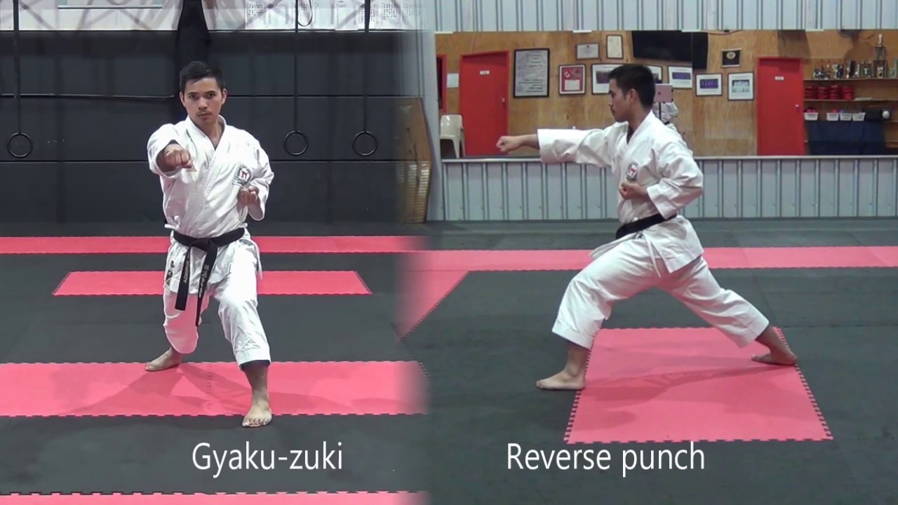 Oi-zuki  /  Gyaku-Zuki
