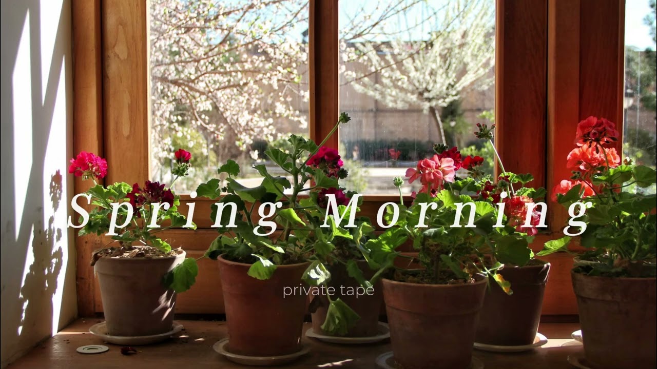 Spring Morning 🌿 Relaxing Piano Playlist | Private Tape