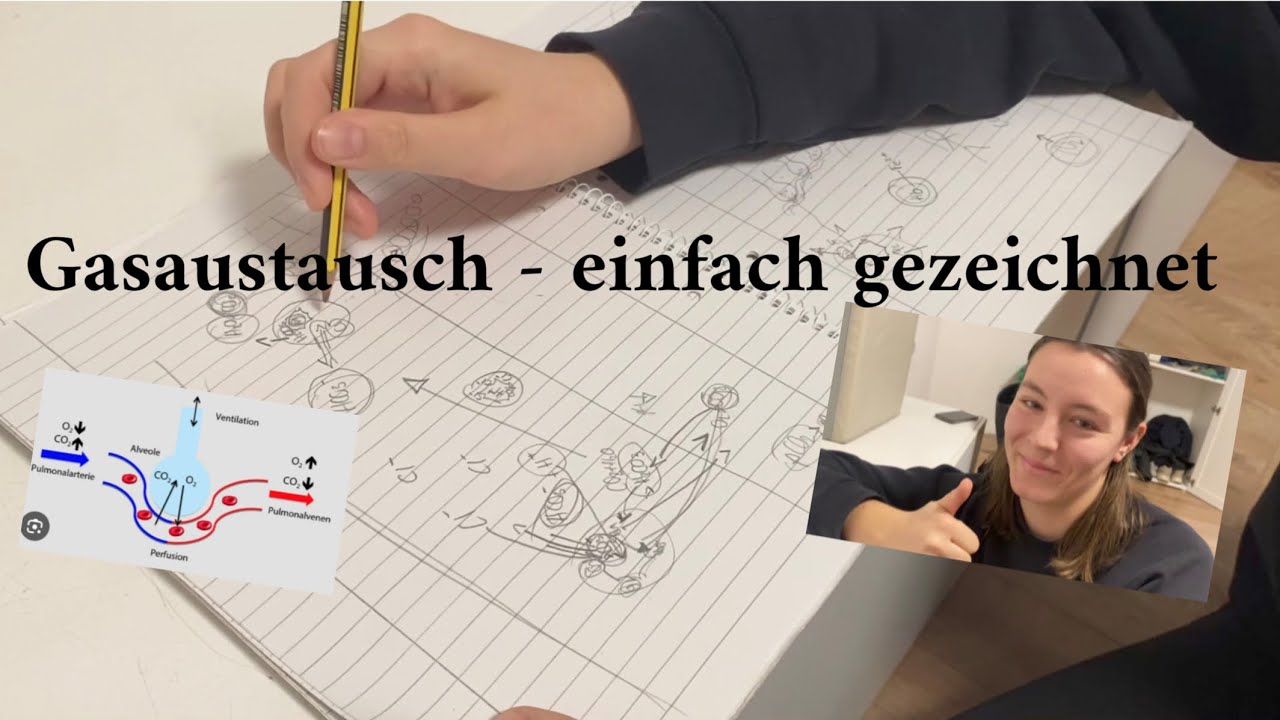 Physiologie Gasaustausch im Blut || Muskelfl&uuml;sterer Physiotherapie #physiotherapy #sauerstoff 