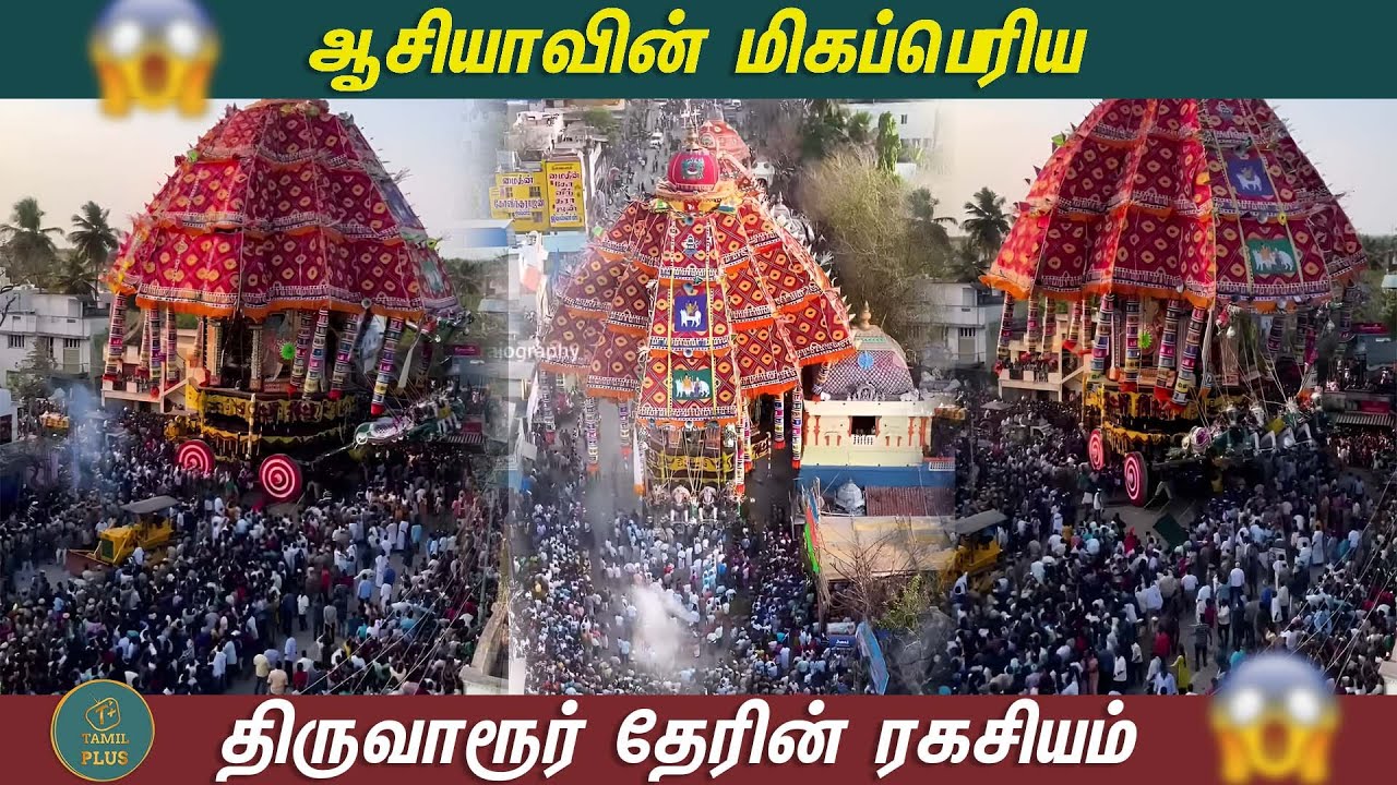 தேரோட்டத்திற்க்கு தயாராகிவரும் 'ஆசியாவின் மிகபெரிய தேர் ' | Asia's Biggest Chariot || Tamil Plus