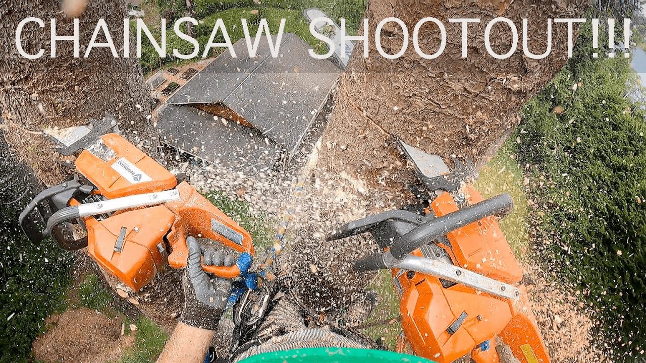 $1,000 372XP Husqvarna vs $300 G372XP Holzfforma Clone. Big Spruce Removal in Oregon!