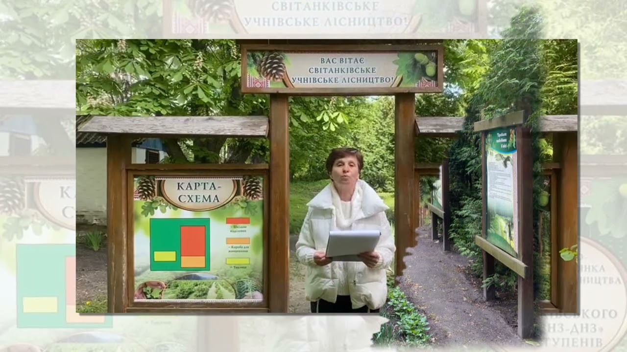 Про діяльність Світанківського учнівського лісництва
