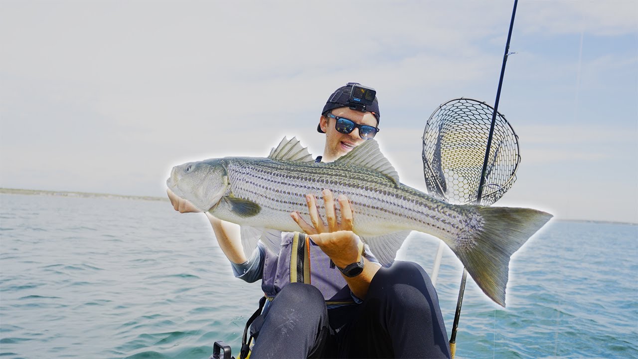 INSANE Cape Cod Striper Fishing (Topwater Blowups)