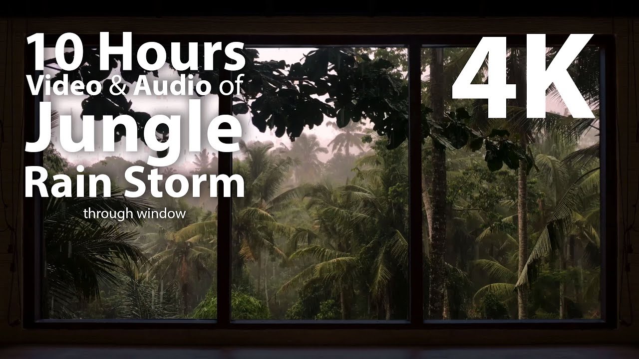 4K HDR 10 hours - Jungle Rain Storm - relaxation, calming, ambient, mindfulness