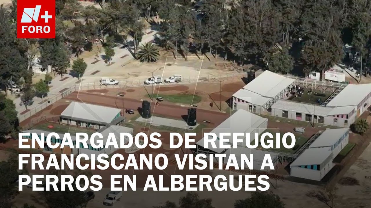 Miembros del Refugio Franciscano visitan a perros rescatados - Expreso de la Mañana