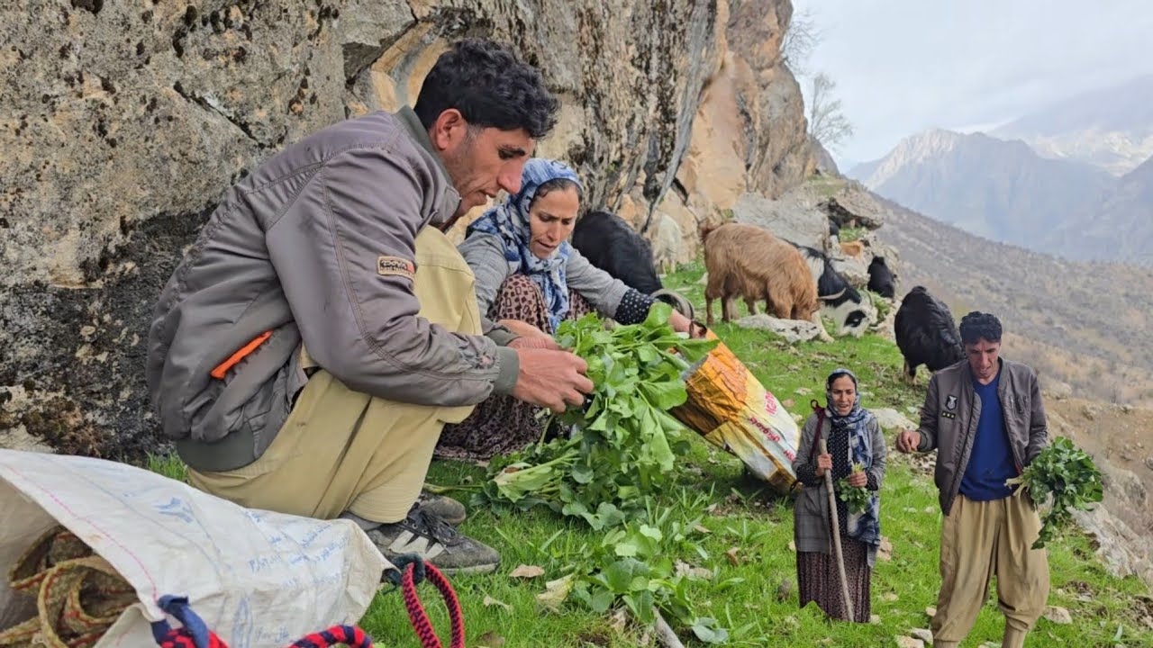 Cave Life in Iran&rsquo;s Wild Zagros ⛰️🔥 | Rare Medicinal Plants and Struggle for Survival 🌿