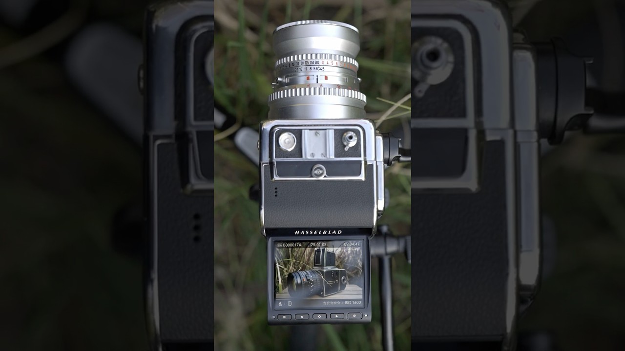 Capture the past and the future with Hasselblad