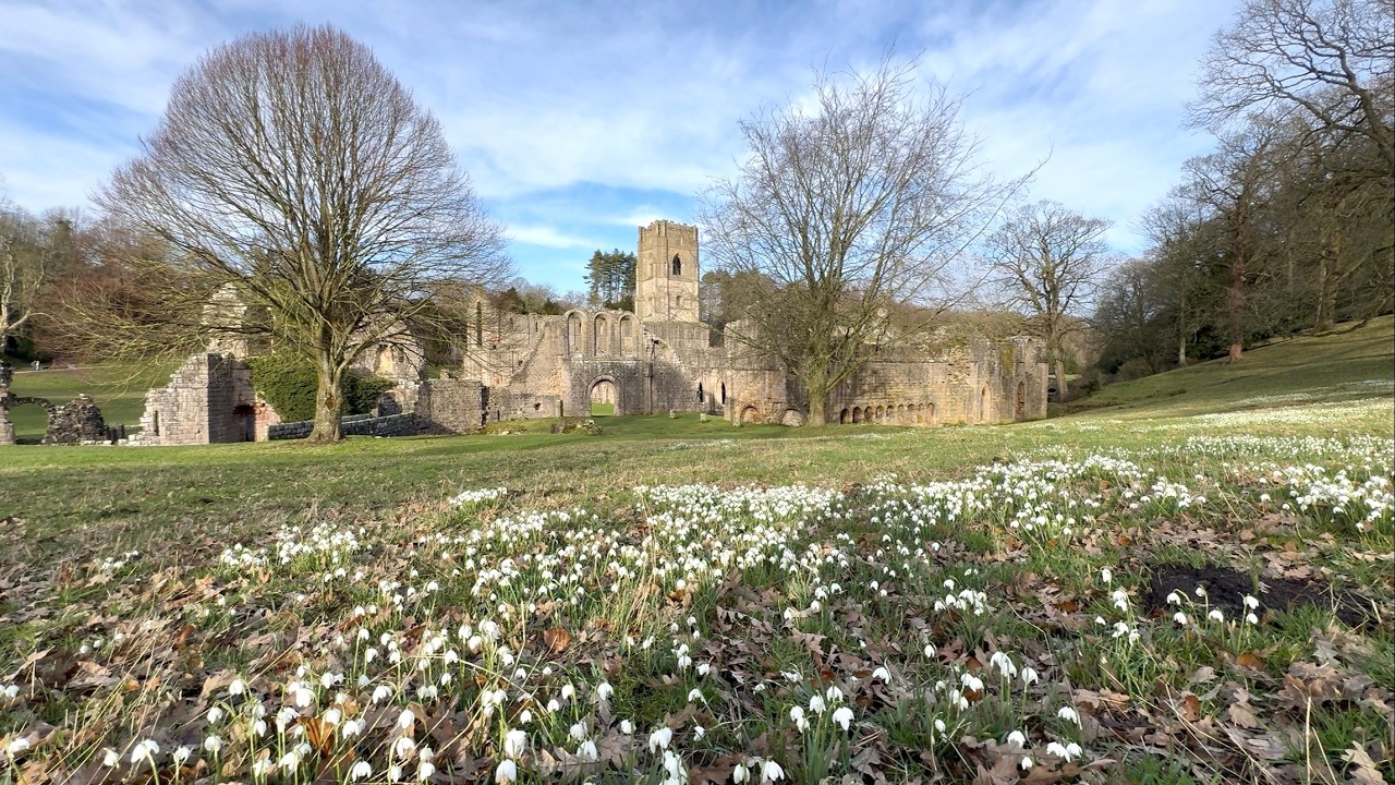 Fountain's Abbey and Studley Royal Gardens, North Yorkshire, 17/2/26