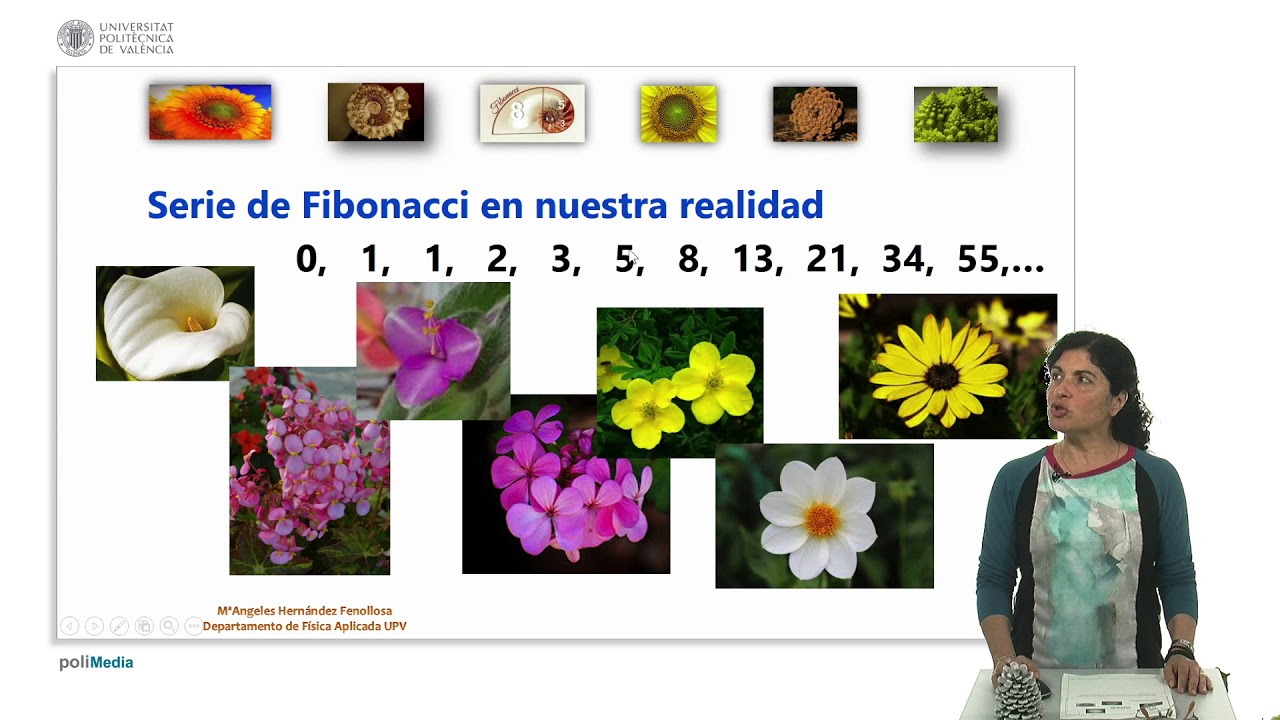 La serie de Fibonacci |  | UPV