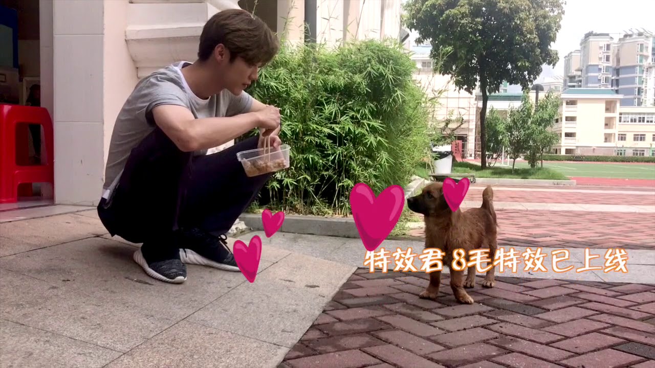 LuHan鹿晗_The Theater of Running Lu_Boss LU “feeds a stray dog”