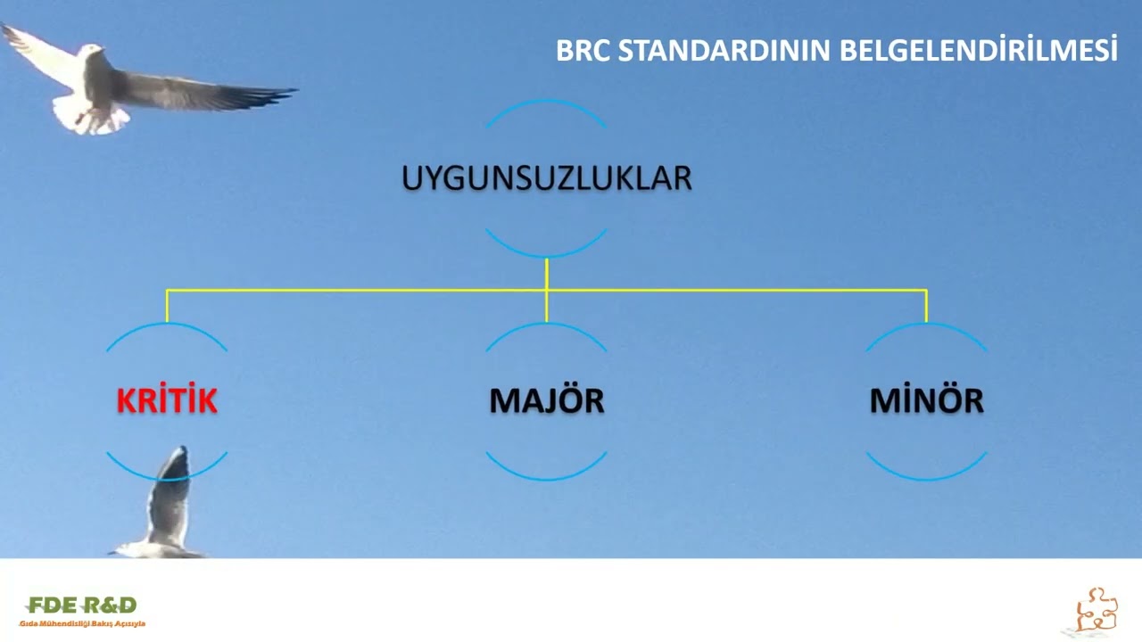 BRC (BRCGS) Denetimi için Bilinmesi Gerekenler