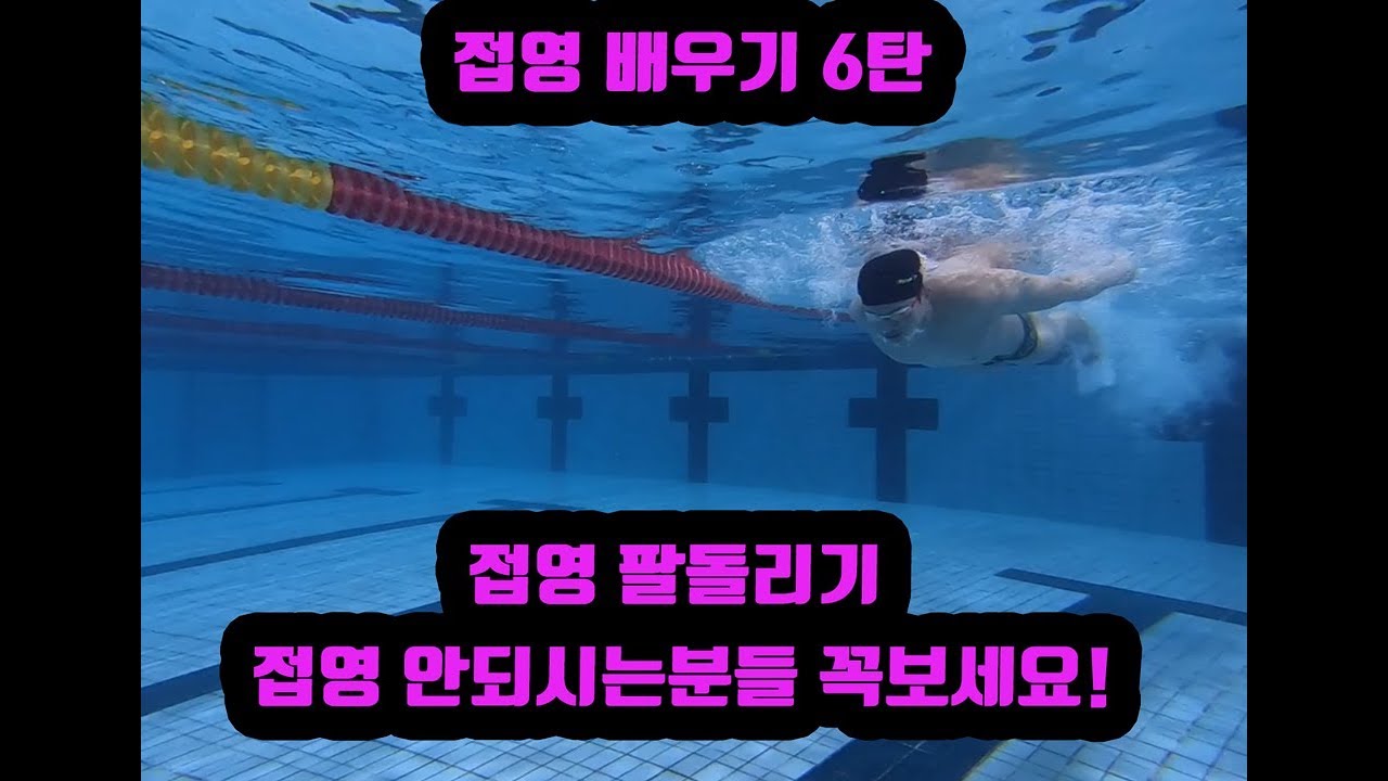 접영배우기6탄 팔돌리기 접영에 도움되는 영상 butterfly swimming