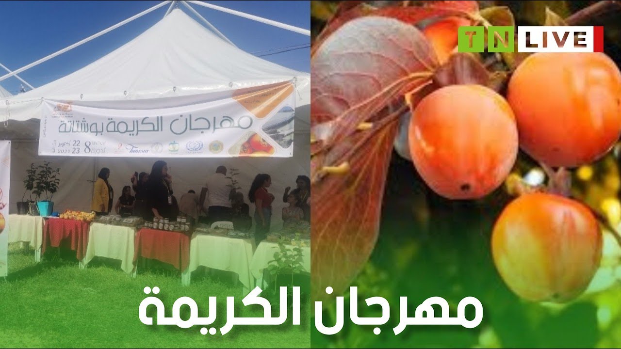 إفتتاح مهرجان الكريمة بوشتاتة من ولاية باجة