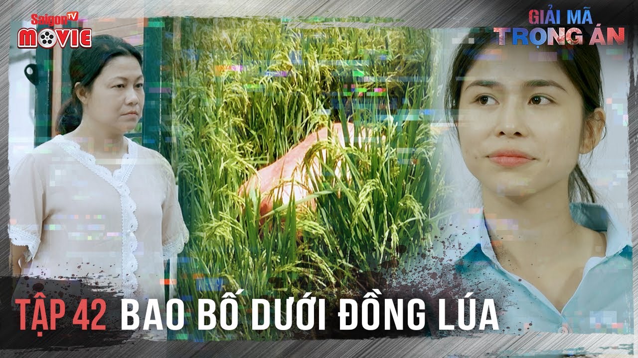 Bao bố dưới đồng l&uacute;a - Full Tập 42 | Giải M&atilde; Trọng &Aacute;n