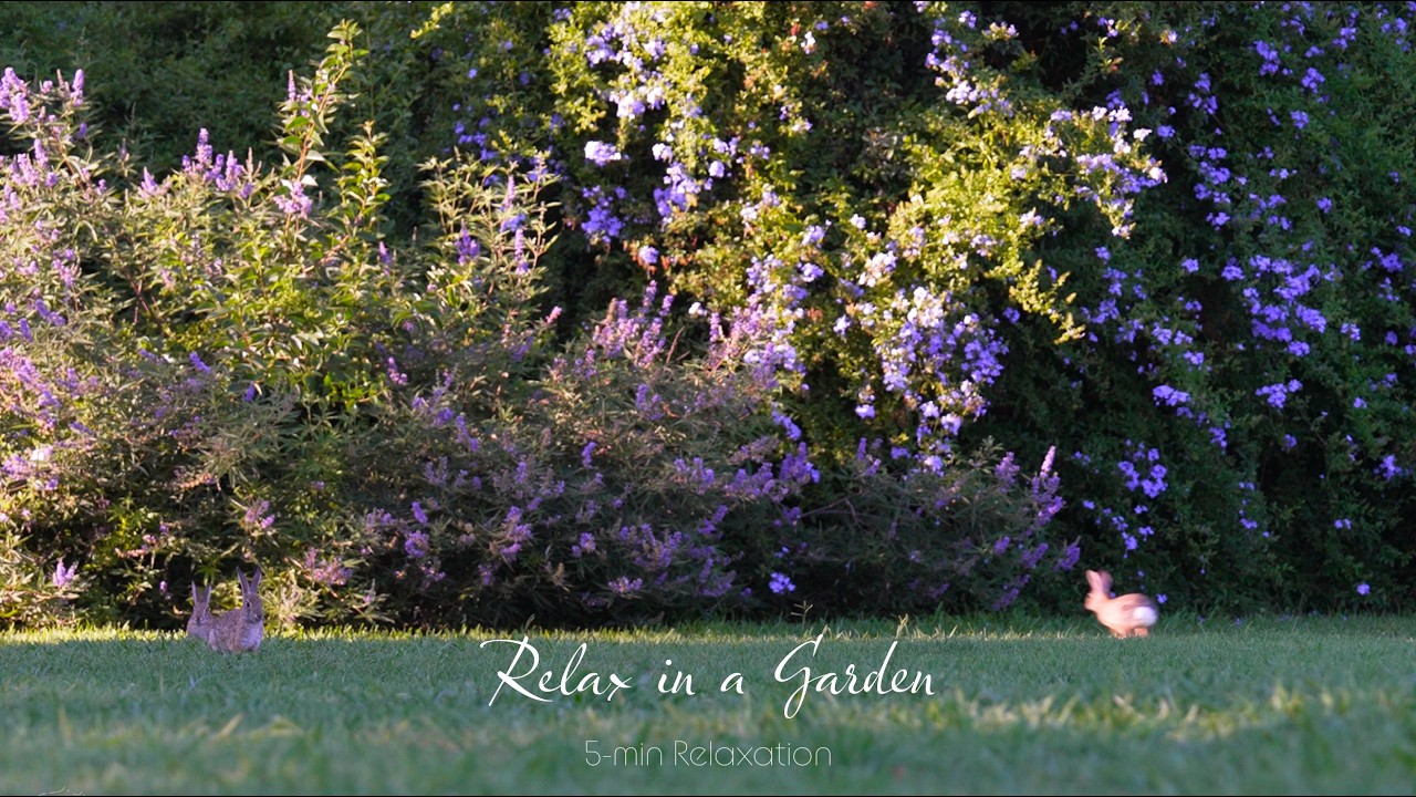 Relaxing Garden | Calming Nature and Soothing Music for Stress Relief