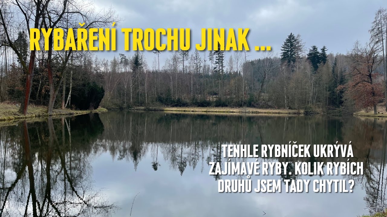Tenhle rybníček ukrývá zajímavé ryby | Kolik rybích druhů jsem tady chytil?