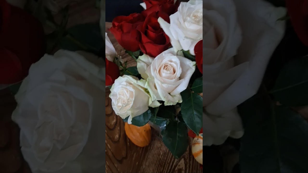 Dios nos BendigaTodos #love #christianbelief#flores #amor #fe #Diostebendiga#everlasting#eternally