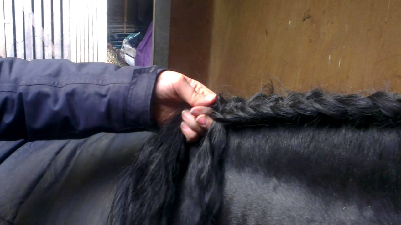 Double Spanish plait
