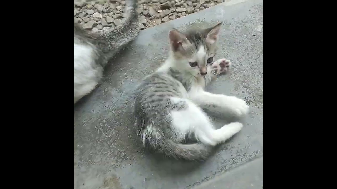 അമ്മയും മക്കളും ❤️❤️❤️