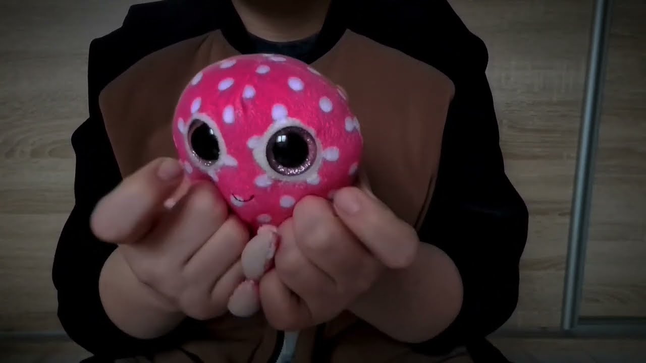 asmr with my dog's toys