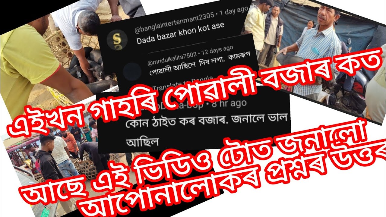এইখন গাহৰি পোৱালি বজাৰ কত আছে জানিবলৈ ভিডিওটো চাওঁক আপোনালোকে