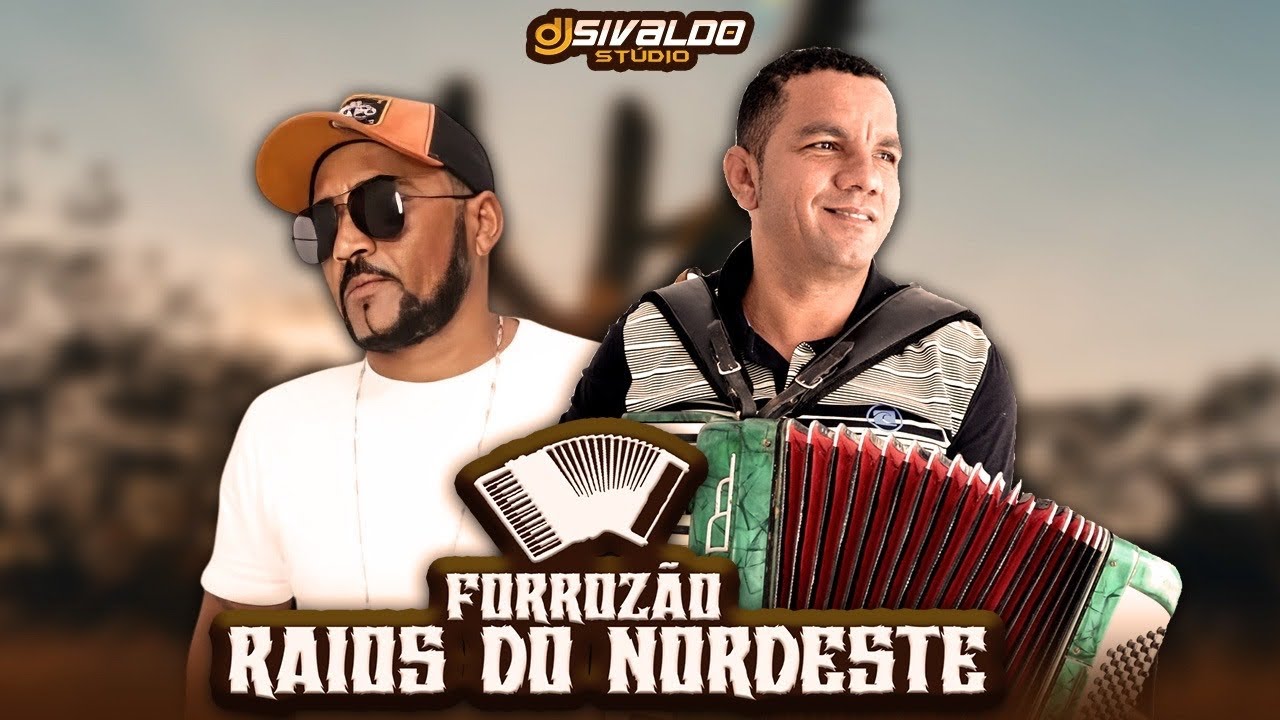 FORROZÃO RAIOS DO NORDESTE - VOLUME 14 ( CD 2025 )