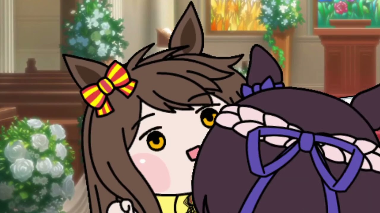 【たぬき】ご祝儀