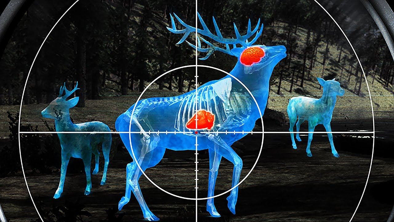 Wild Hunt:Sport Hunting Game.3D Shooting Simulator - Android Gameplay