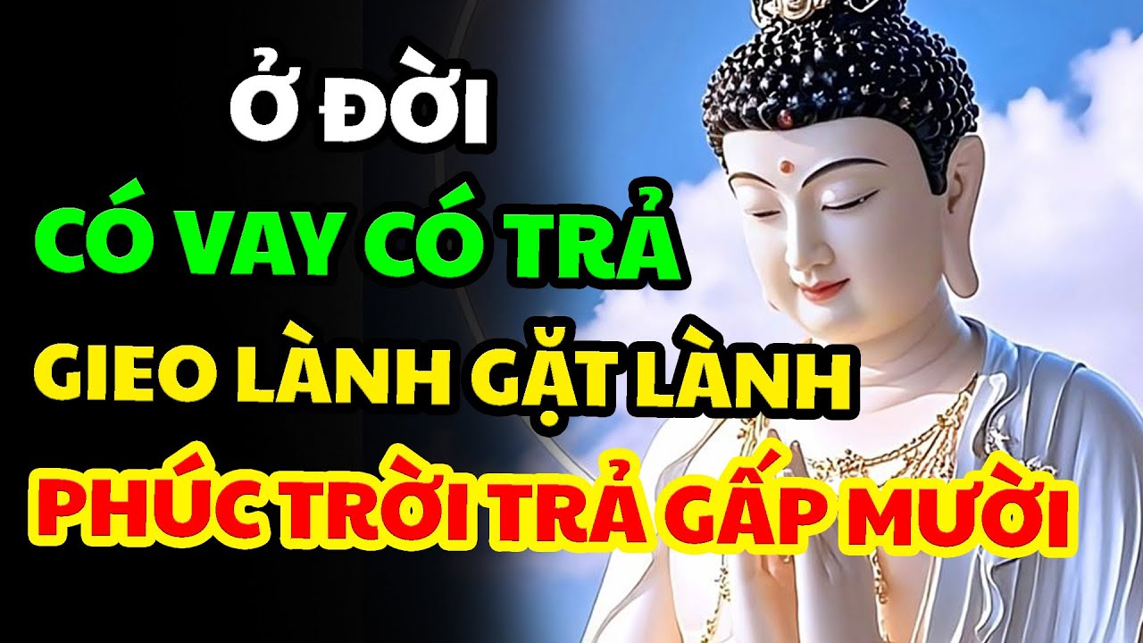 Phật Dạy: Ở Đời Có Vay Có Trả, Nếu Người Khác Nợ Bạn Cái Gì, Ông Trời Sẽ Trả Lại Gấp Bội