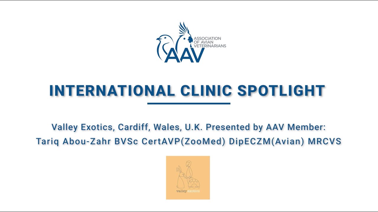 AAV International Clinic Spotlight: Valley Exotics