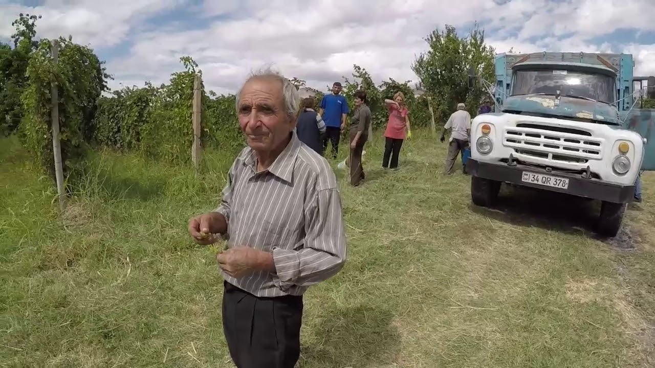 Special harvest and barbecue through Vayots Dzor vineyards in Armenia