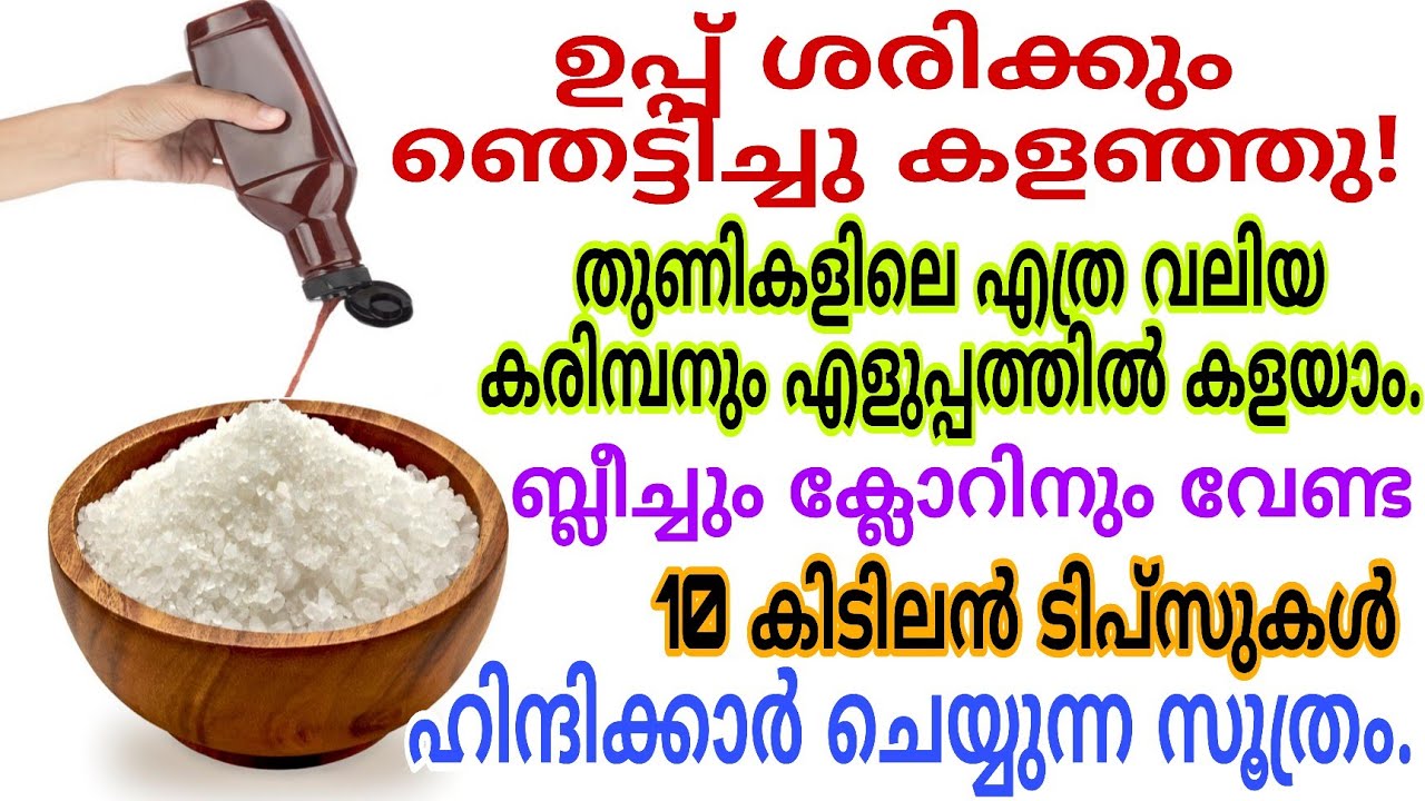 ഉപ്പ് ഞെട്ടിച്ചു കളഞ്ഞു|തുണികളിലെ എത്ര വലിയ കരിമ്പനും എളുപ്പത്തിൽ കളയാം #kitchentips #kitchenhacks