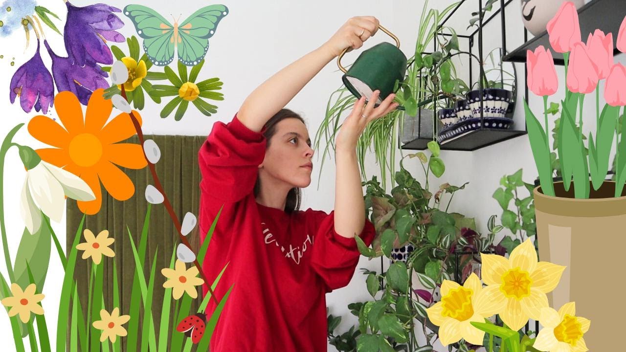 Czuję wiosnę i powoli wprowadzam ją do domu | zwykłe życie |slow life | ZIM&Oacute;WECZKA #10 | Ciut Więcej