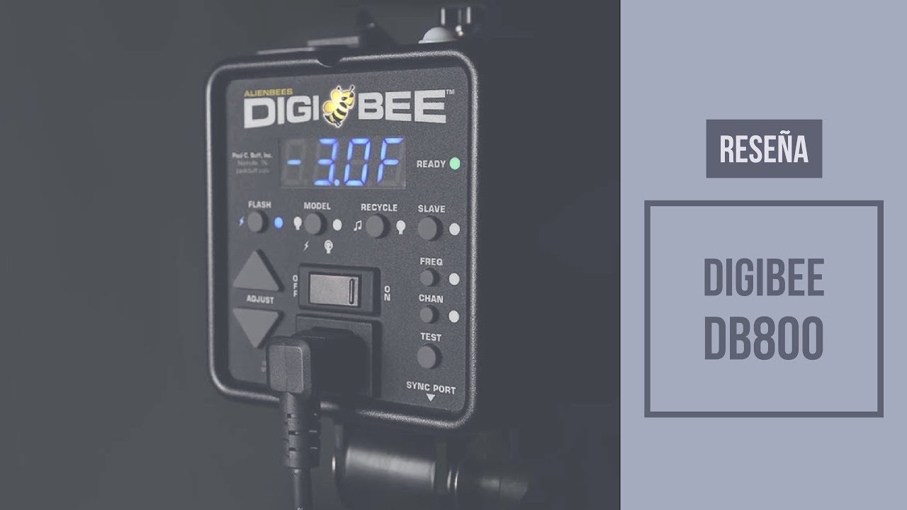 Flash DigiBee DB800 - Reseña