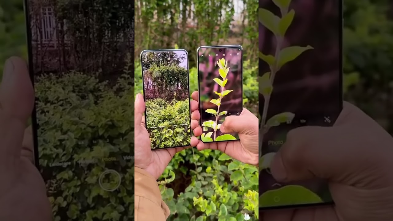 Vivo x200 vs vivo x200 pro 👀