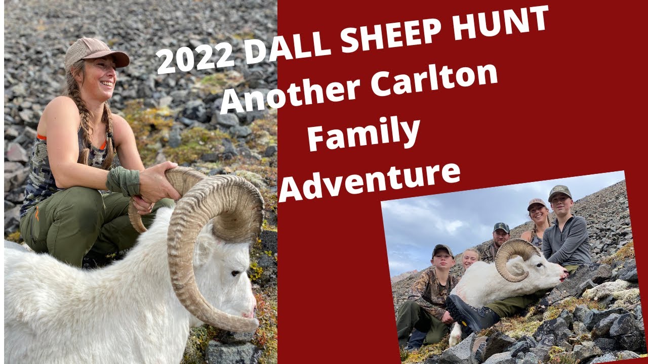Dall Sheep Hunt Alaska 2022 Season3 Episode4