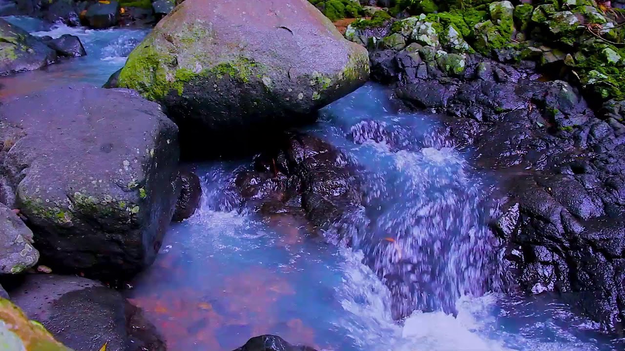 Mountain Creek for Stress Relief | Calm Nature Sounds All Night