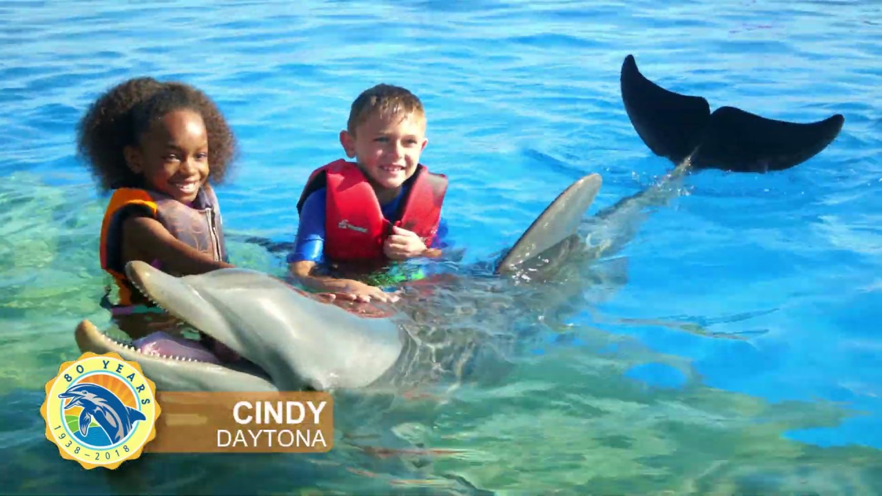 Marineland Dolphin Adventure – "More Than Ever"