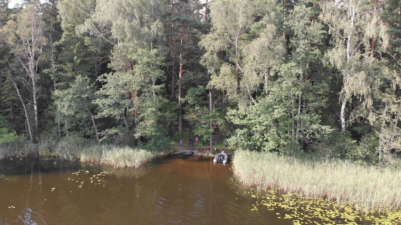 Рыбачим в красивом месте. В глуши леса. Дождался леща.