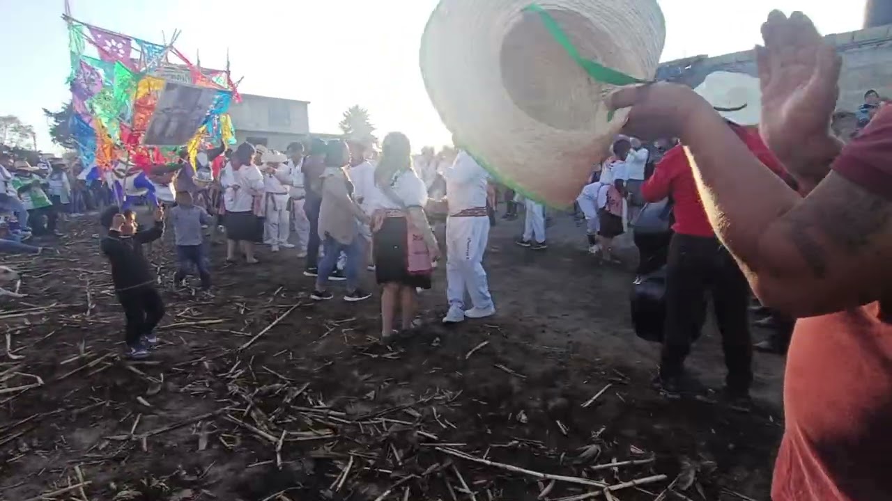 Torito Laguneros 🇳🇬🔥 y torito Sección 3🇵🇪🎉🔥