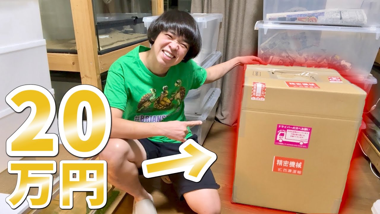 爬虫類のために精密機械を導入しました