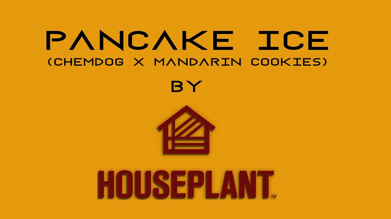 Pancake Ice by Houseplant