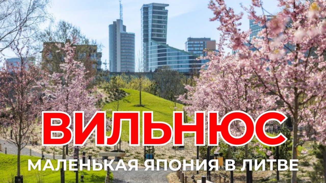 ЛИТВА НЕ ПЕРЕСТАЁТ УДИВЛЯТЬ! Японский уголок в Вильнюсе — как в Токио, только ближе!